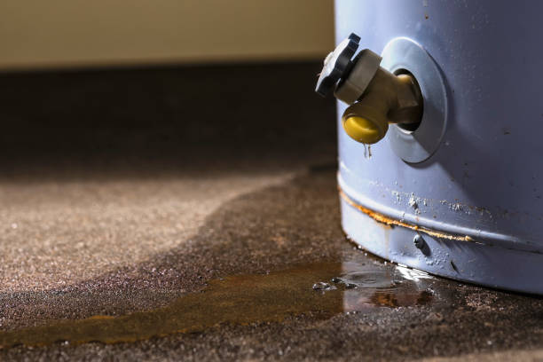 Best Water damage restoration process  in Galena, OH