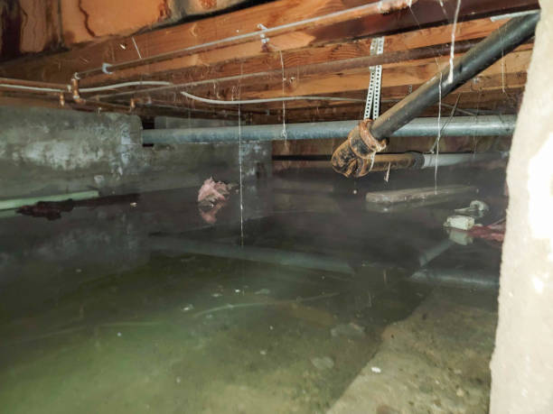 Best Basement water damage restoration  in Galena, OH