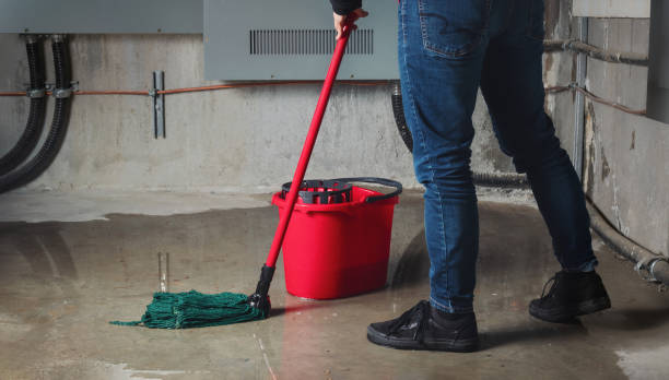 Best Fire Damage Restoration  in Galena, OH